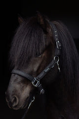opreiter-halter-glitrandi-black-horse_1920x1920