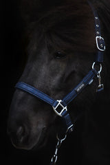 topreiter-halter-glitrandi-blue_1920x1920