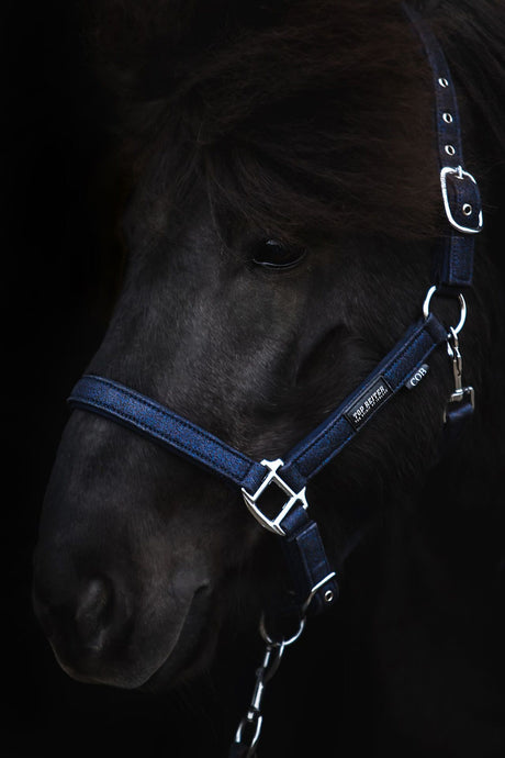 topreiter-halter-glitrandi-blue_1920x1920