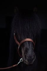 topreiter-halter-glitrandi-copper-horse-front_1920x1920