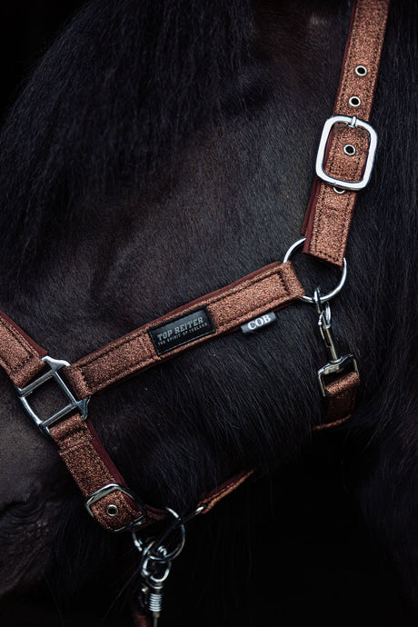 topreiter-halter-glitrandi-copper-horse-side_1920x1920