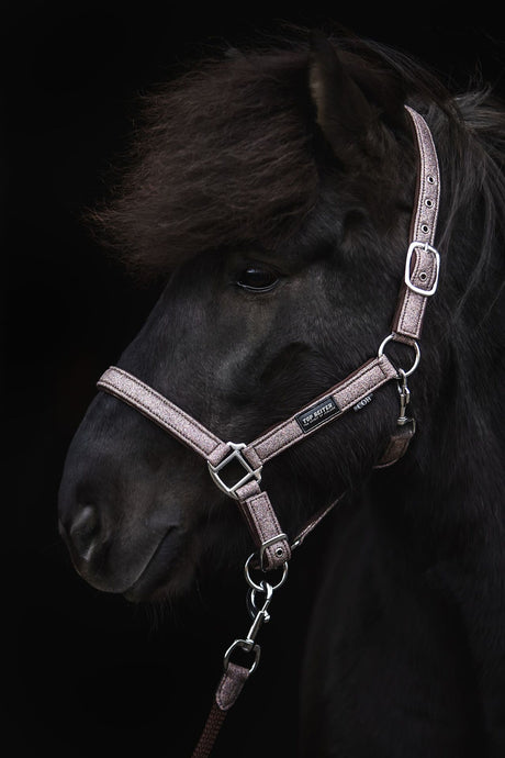topreiter-halter-glitrandi-pink_1920x1920