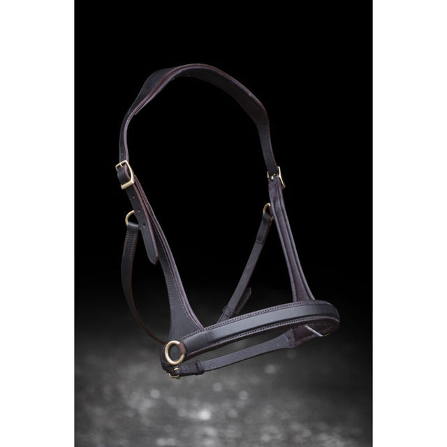 Sidepull Nordic Horse