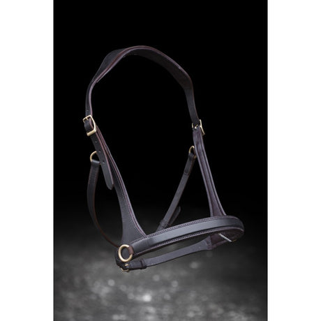 Sidepull Nordic Horse