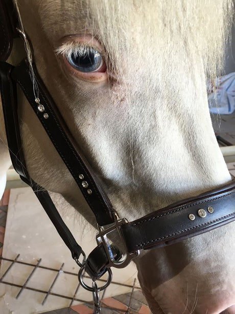 Blød lædergrime med smykkesten brun eller sort