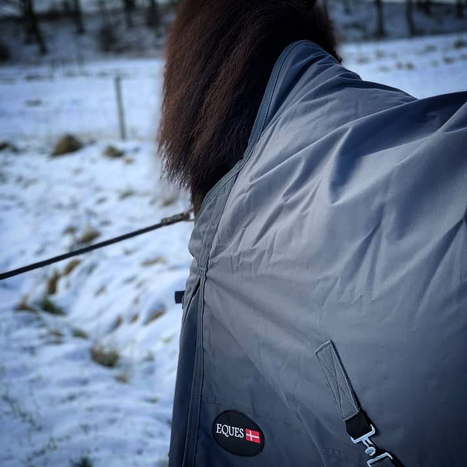 131423862_1489919687865542_800540841121266241_n