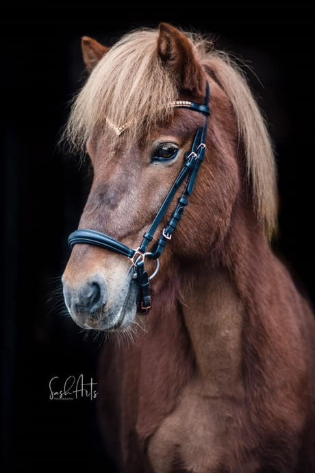 Equitec - ROSEGOLD COMFORT LUX KOMPLET TRENSE