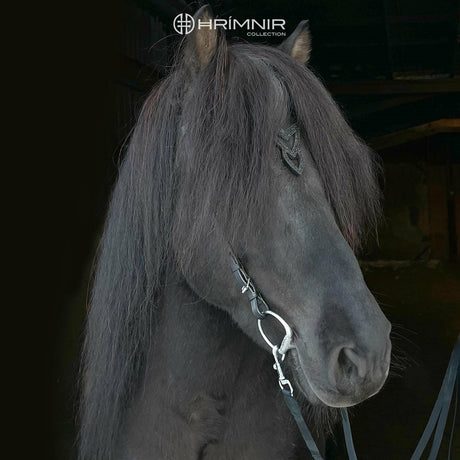 unity_lava_black_horse