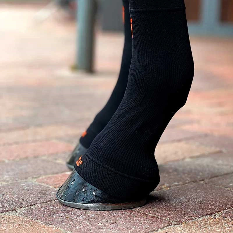 incrediwear-equine-hovsok-sort-paa-hest-fra-siden-p