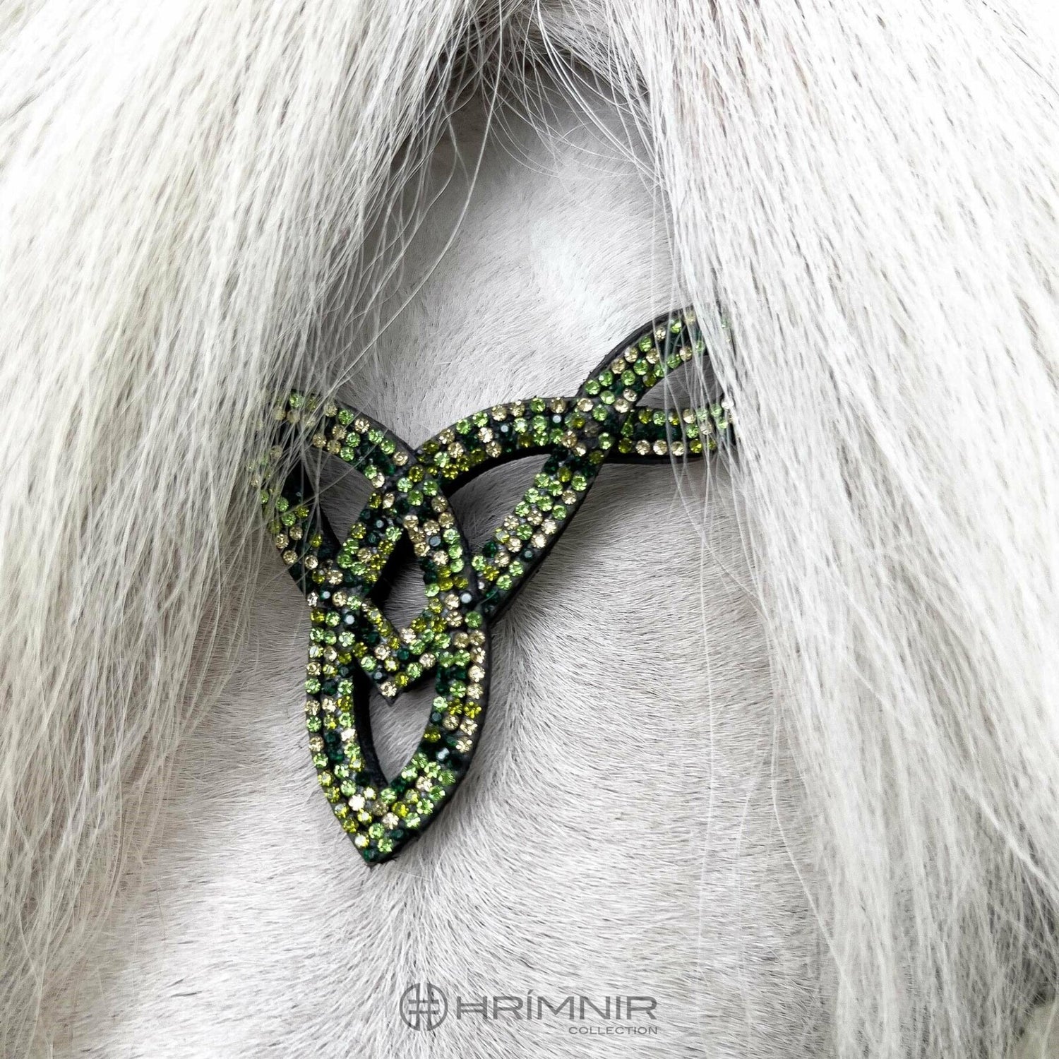 close_up_white_horse_aurora