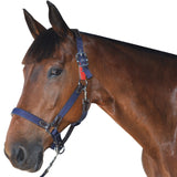 nylon-leather-safety-halter-flags-and-cup (1)