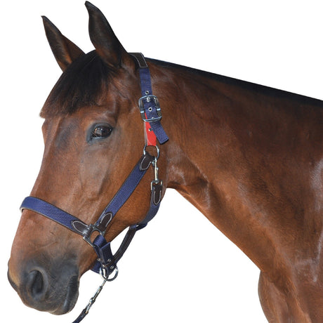 nylon-leather-safety-halter-flags-and-cup (1)