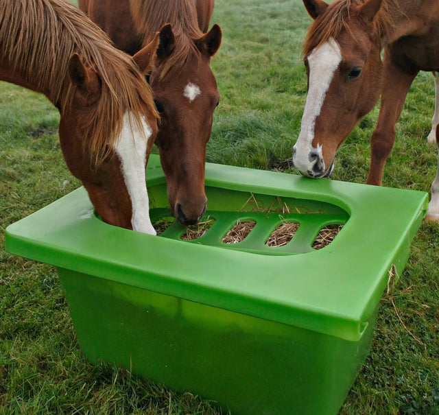 3-horses-eating-close-up_2000x