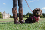 Dubarry Galway Boot