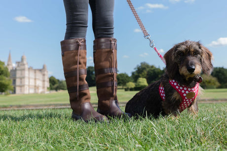Dubarry Galway Boot