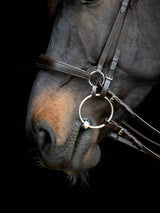 Gentle-Bridle-02