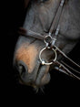 Gentle-Bridle-02