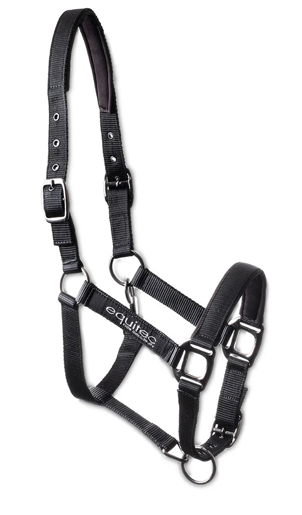 image_011564bc-39ab-41a2-b9f6-a9a93191fab0_600x1024