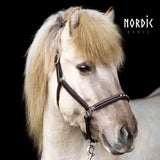 303-gr-2-brun-laedergrime-med-5-sten.w610.h610.fill