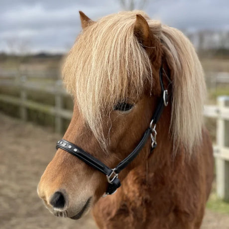 303-gr-halter-with-5-stones.w610.h610.fill