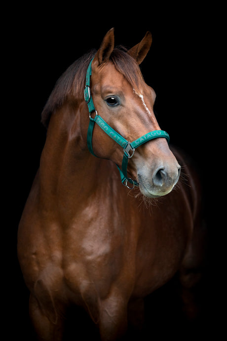 01ef6464-555d-42c5-88eb-602dd02b17ec