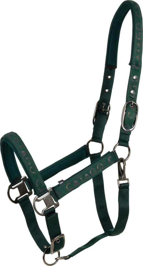 7cfa0a33-1e81-42bd-994e-f3378be4b770