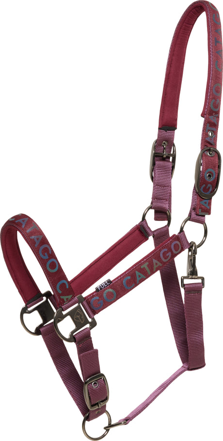 dcd157d7-035f-4387-bd62-7d424117a608