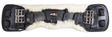 k2081