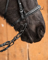 119_cb7e7e4867-magnus-black-3