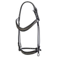 EQ20020-AN-1-Crystal-Curb-Bridle-Regular
