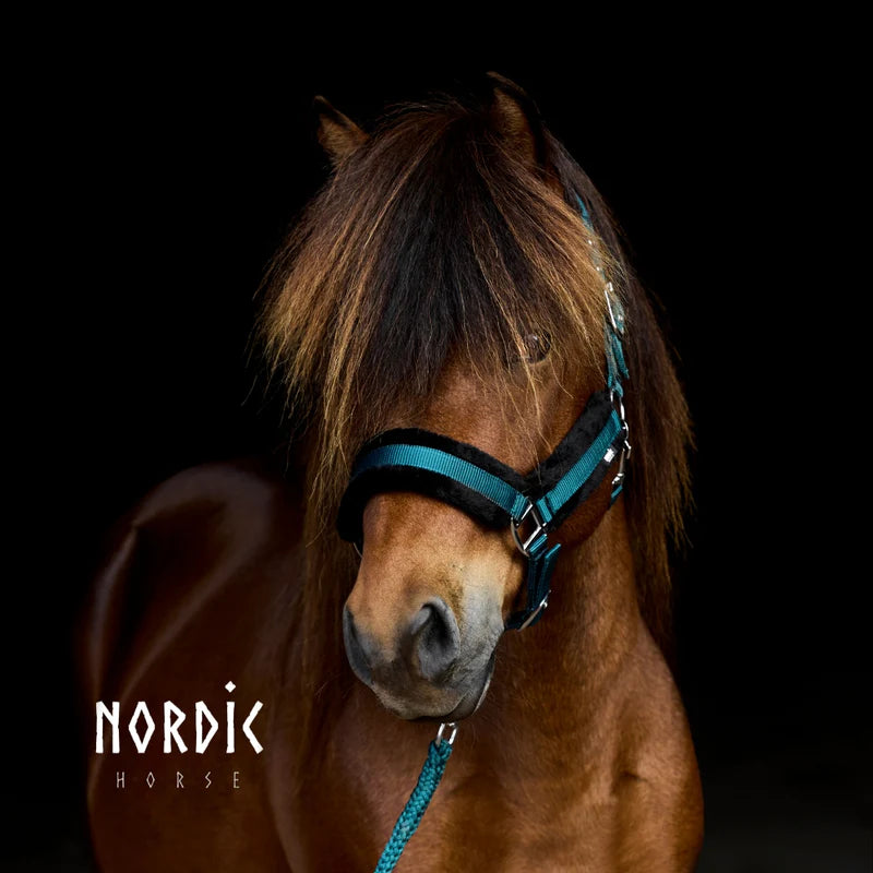 NordicHorsekomfortnylongrime_traektov_moerkegroent_da9815b8-6d2d-489c-a73a-bb2742b522d8_800x