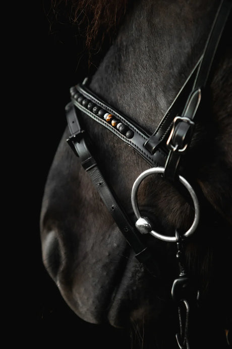 noseband-combined-orka-brown-side_960x1440
