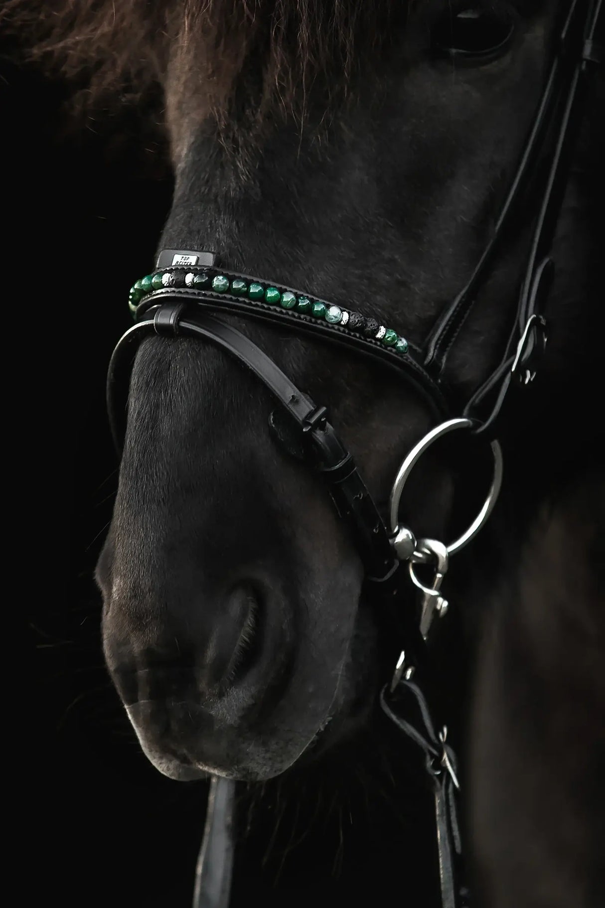 noseband-combined-orka-green_1365x2048