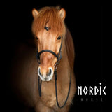 336-Leaves-bridle-black-1-2.w610.h610.fill