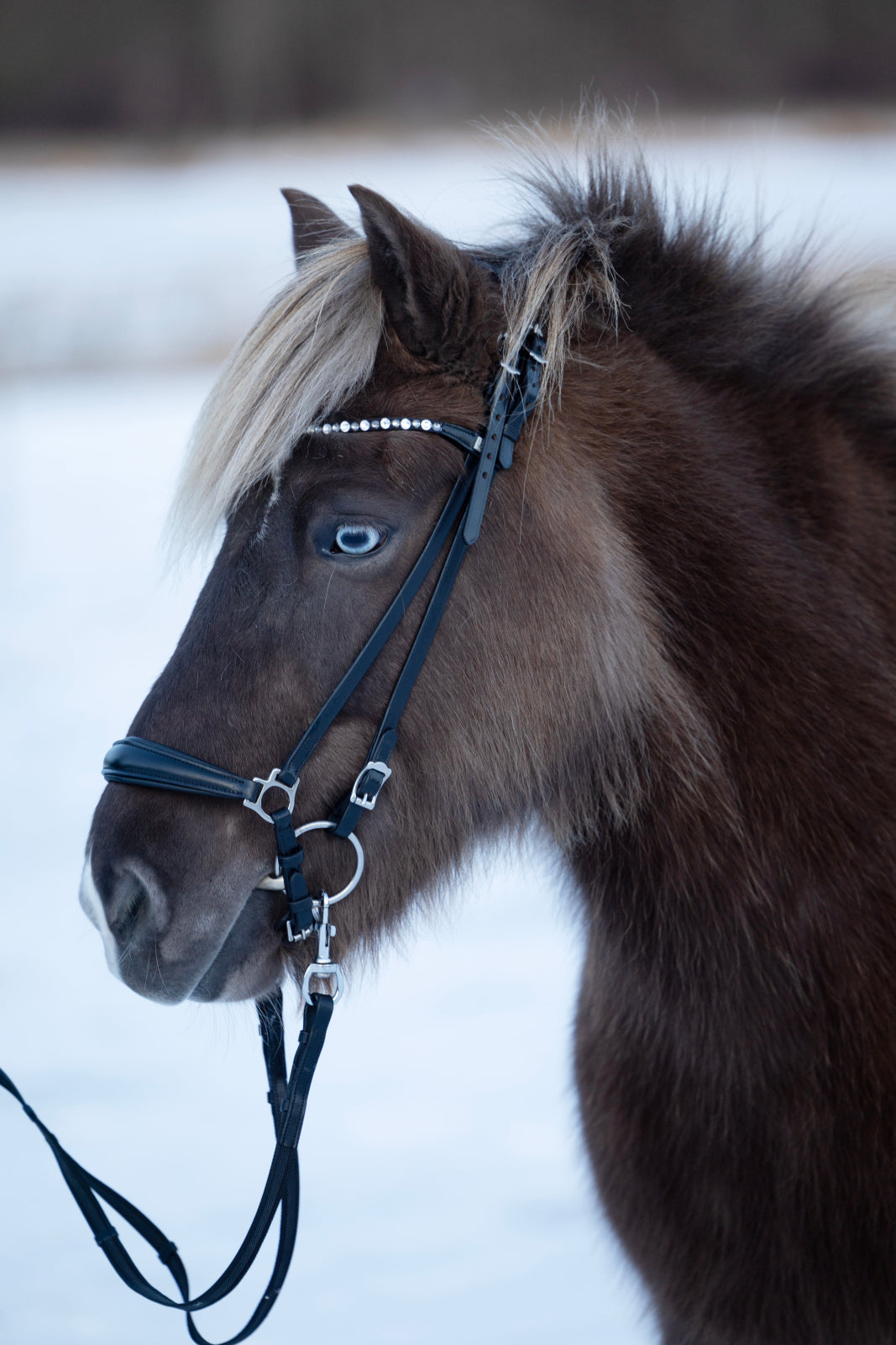 Horse Guard Supergrip tøjler med aftagelige karabinhager