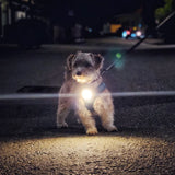 Meolinq Light Plus - Den ultimative lille lampe