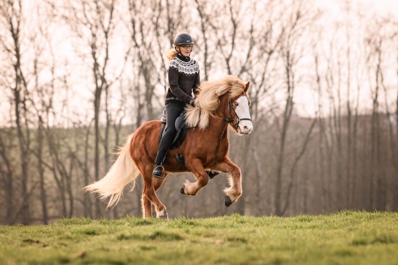Cavallo CAVALCOCO jodhpurs bukser 2026, ny farve