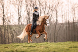 Cavallo CAVALCOCO jodhpurs bukser 2026, ny farve