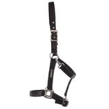 Eques Double-buckle Grime