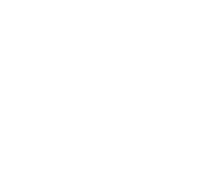 draumur logo
