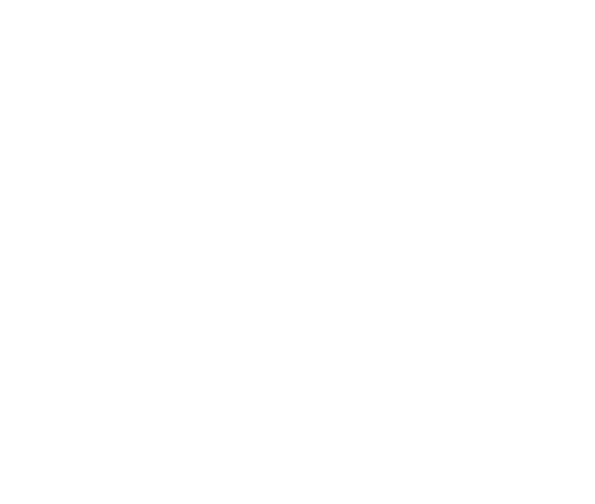 draumur logo