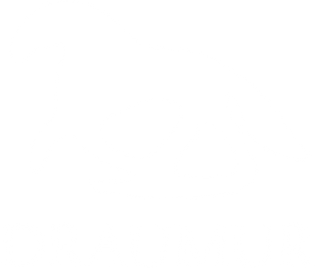 draumur logo