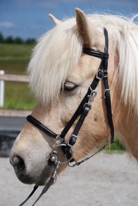 ridegrime-i-laeder_2