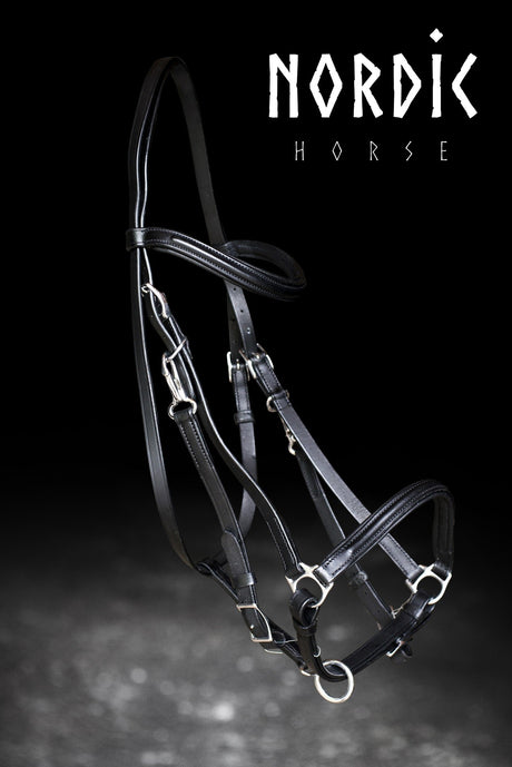 ridegrime-i-laeder_3