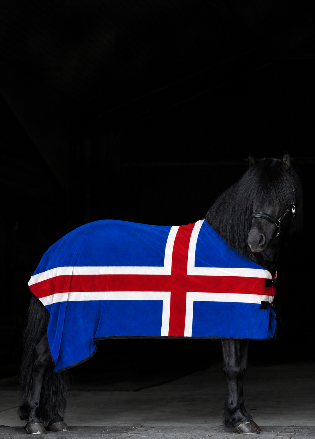 TopReiter Fleece dækken Island