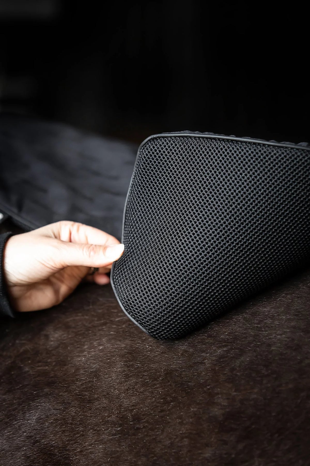 Topreiter Lettir Shock Saddle Pad