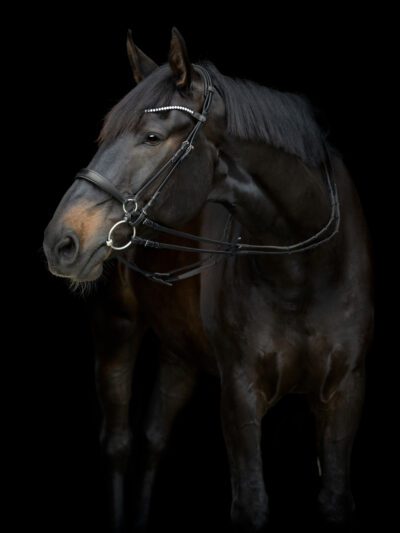 CATAGO Gentle Bridle halvt næsebånd - Image 2