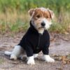 Back on Track Bianca Fleece Jumper
