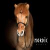 Nordic Horse Biothantøjler med spænder - Image 5