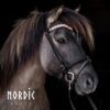 Nordic Horse pandebånd Rosegold Leaves - Image 2